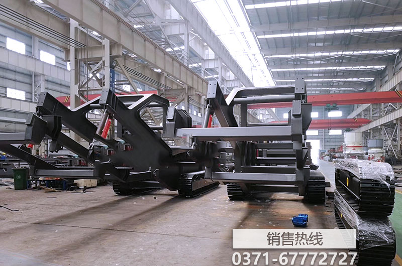 金 太 阳 鹦 鹉 葵 花 鹦 鹉等各种鸟出售中原花鸟鱼虫郑州